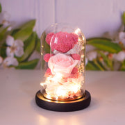 Valentine's Day Rose Flower Teddy Bear